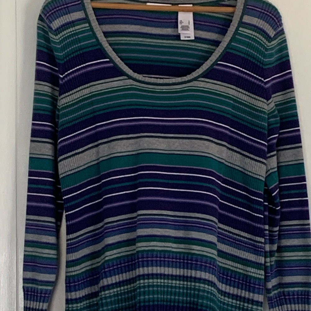 liz & co. Multicolor Striped Sweater